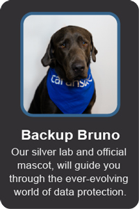 Bruno bio pic